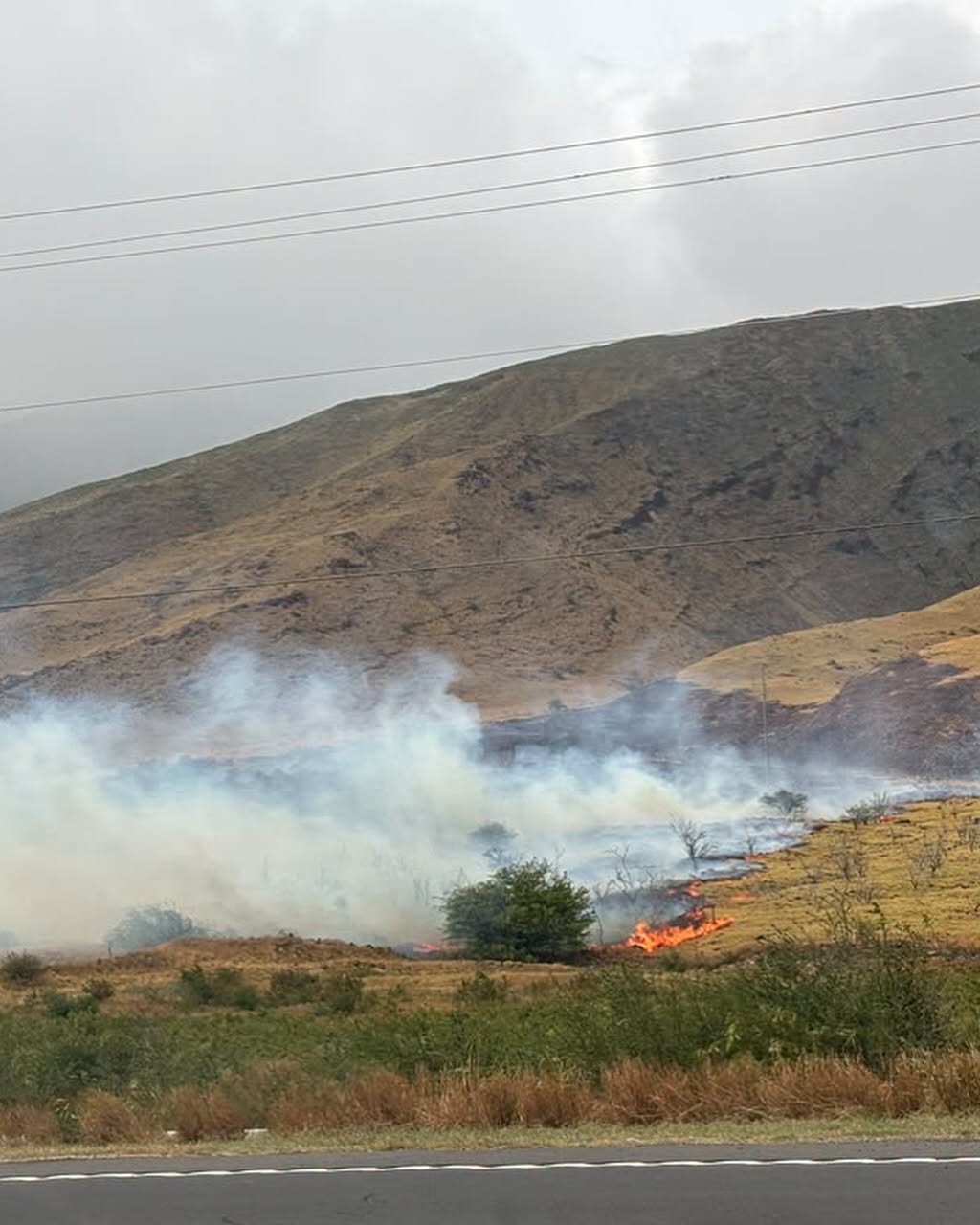 Olowalu brush fire burns more than 100 acres